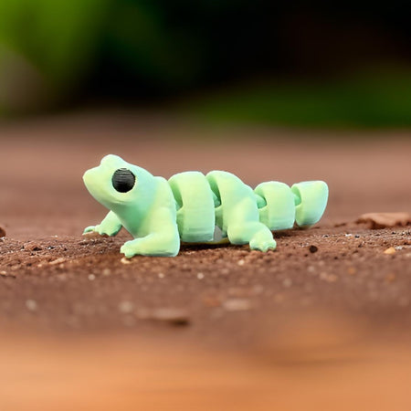 Lizard
